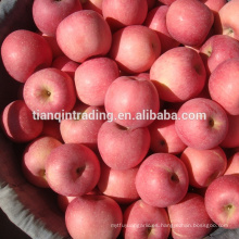 Manzana china fresca Fuji de origen Shannxi